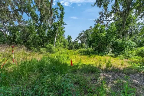 672 Highway Lithia FL 33547
