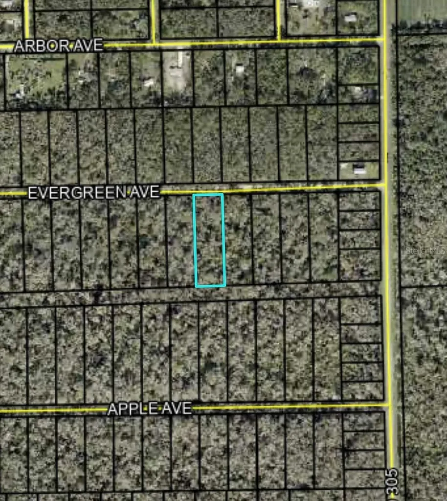 3655 Evergreen Avenue Bunnell FL 32110