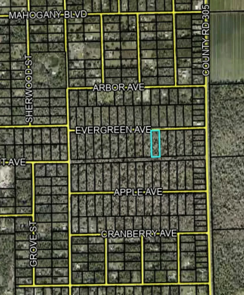 3655 Evergreen Avenue Bunnell FL 32110