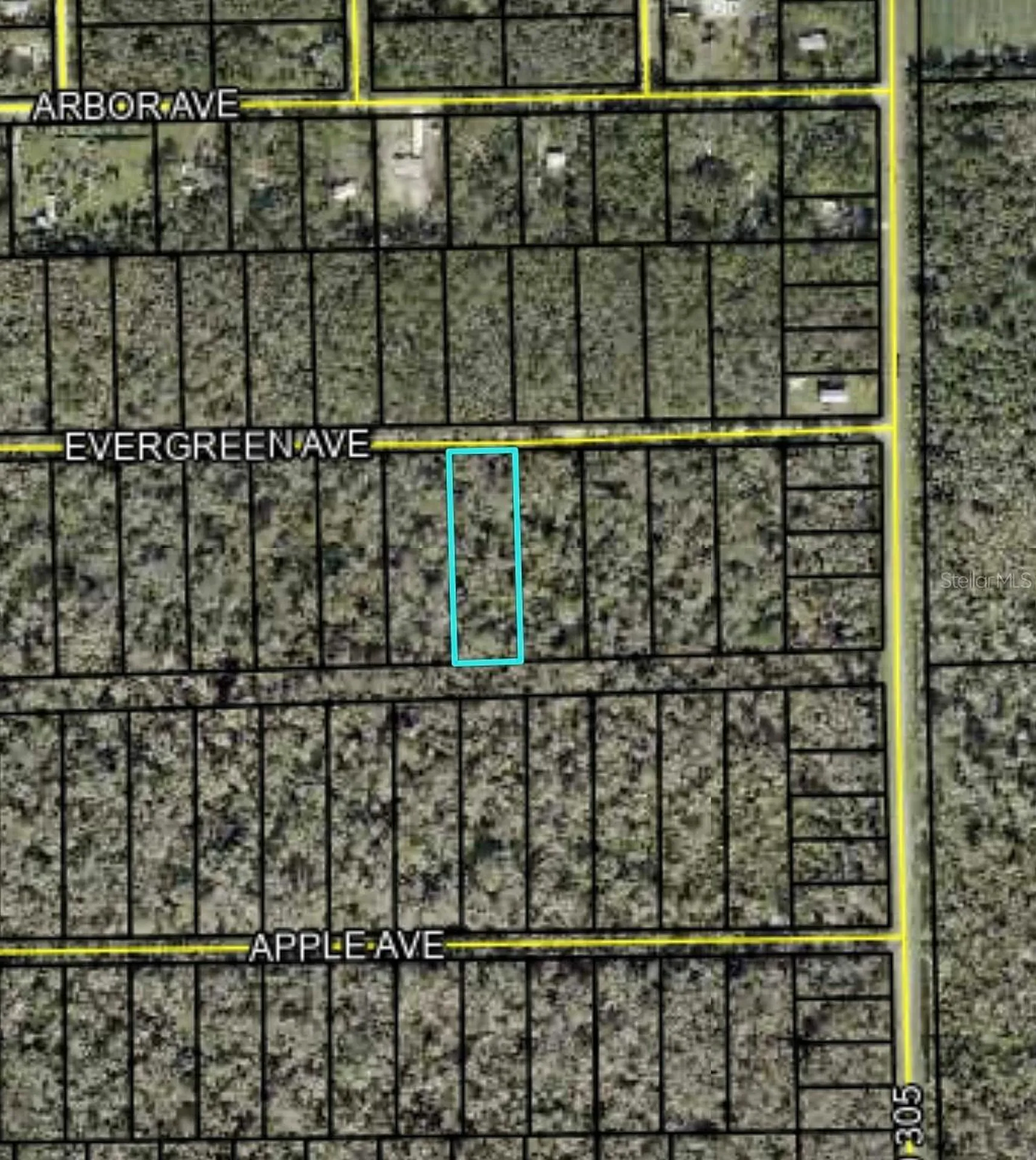 3655 Evergreen Avenue Bunnell FL 32110