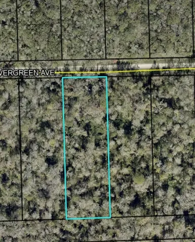 3655 Evergreen Avenue Bunnell FL 32110