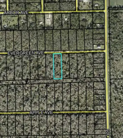 3655 Evergreen Avenue Bunnell FL 32110