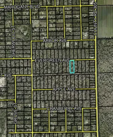 3655 Evergreen Avenue Bunnell FL 32110