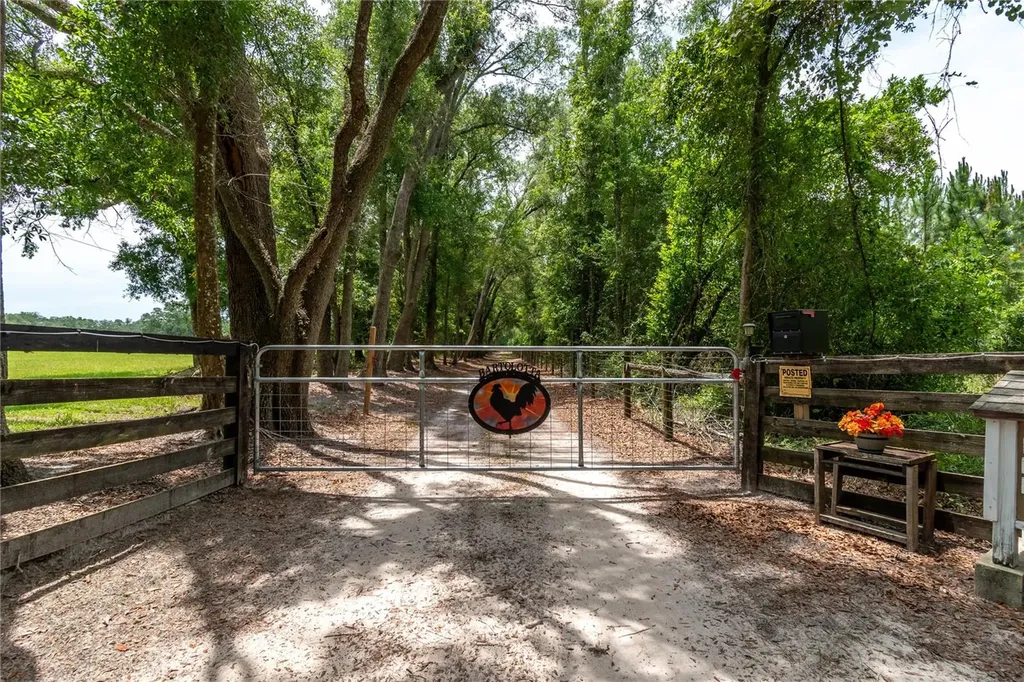 11990 156th Street Mc Alpin FL 32062