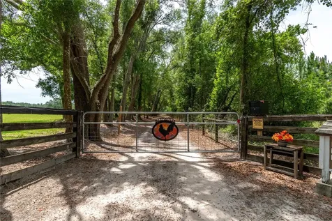 11990 156th Street Mc Alpin FL 32062