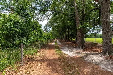 11990 156th Street Mc Alpin FL 32062