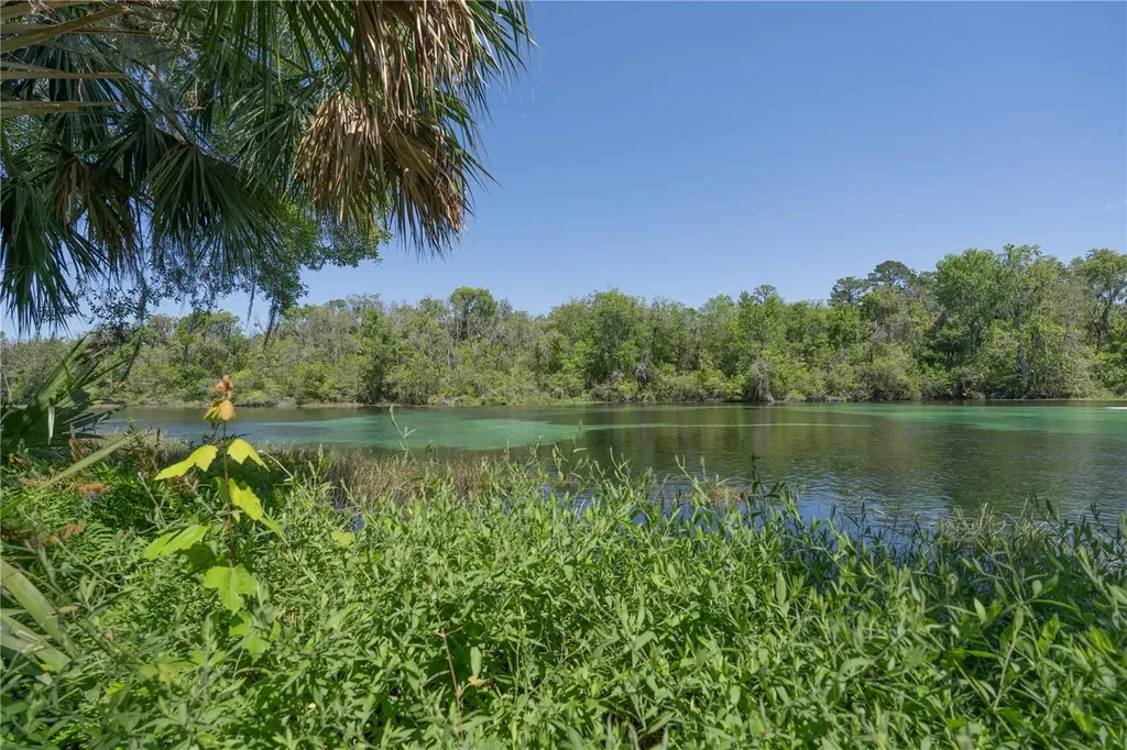 19643 SW 79th Place Dunnellon FL 34432