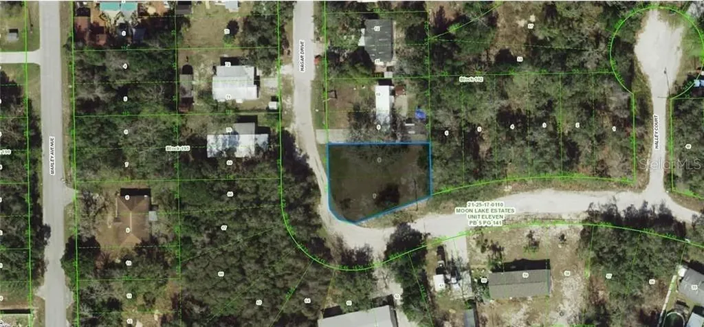 17-25-21-011.0-192.00-007 Hagar Drive New Port Richey FL 34654