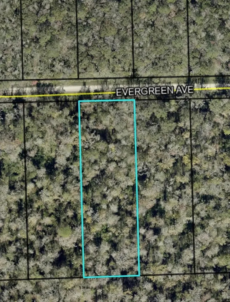 3599 Evergreen Avenue Bunnell FL 32110