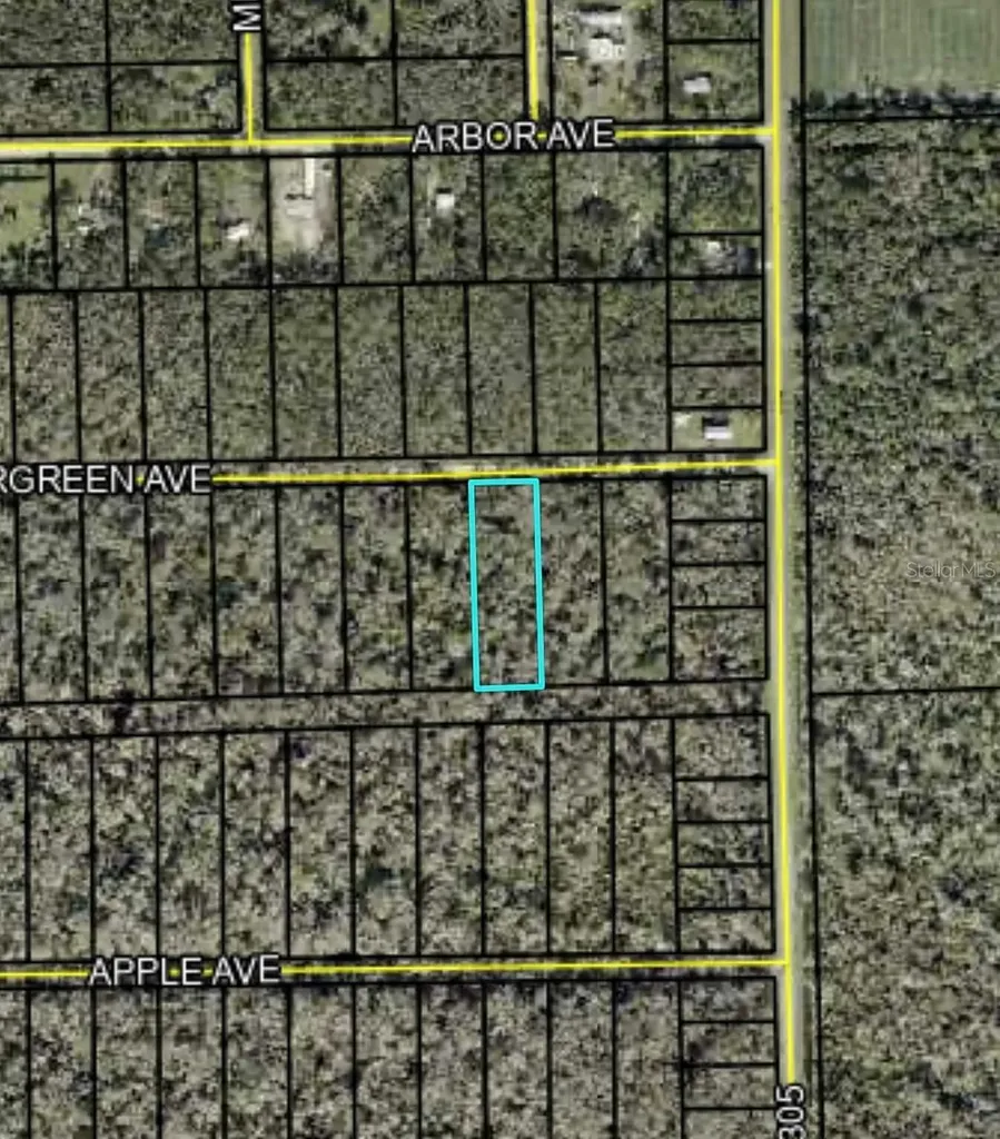 3599 Evergreen Avenue Bunnell FL 32110