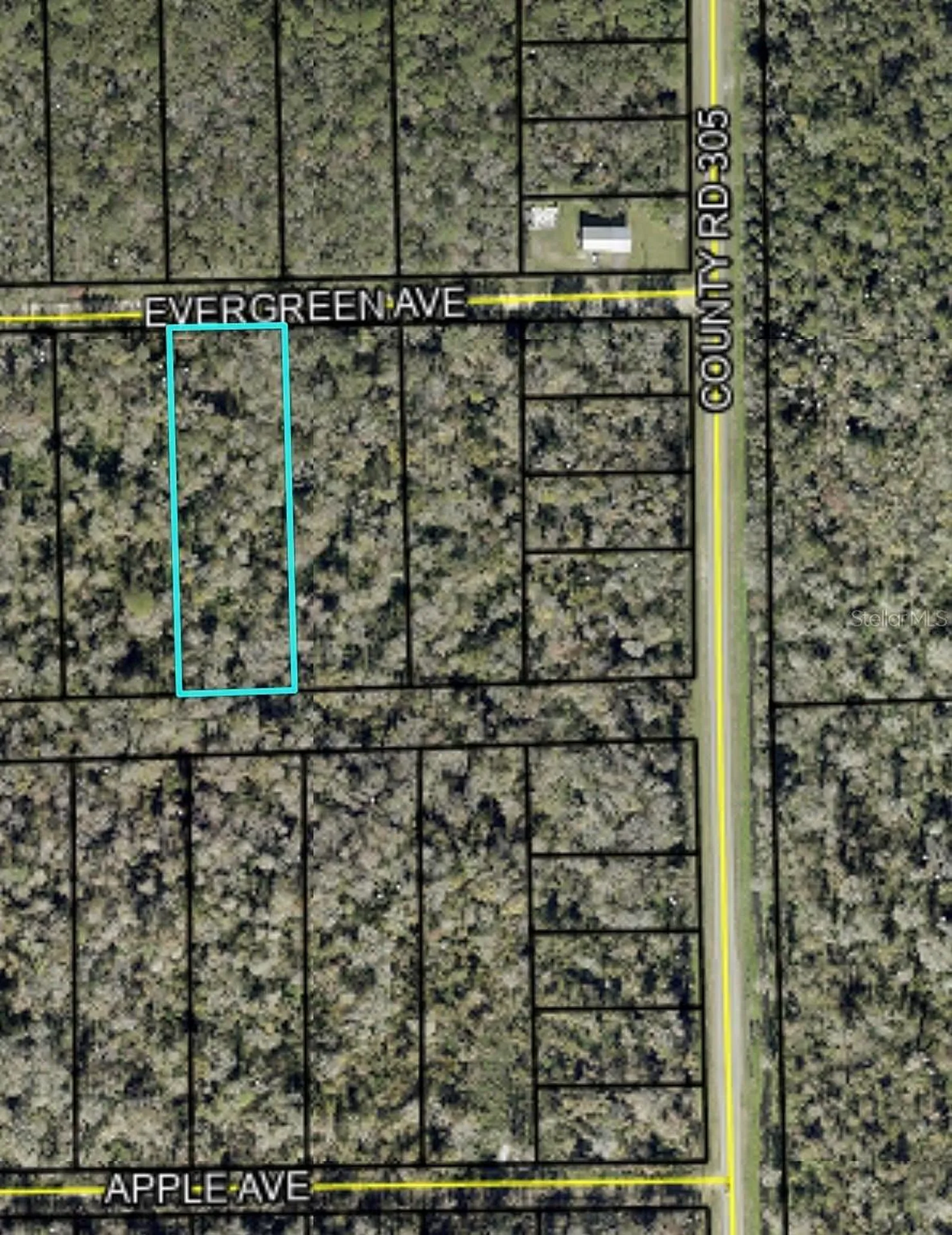 3599 Evergreen Avenue Bunnell FL 32110