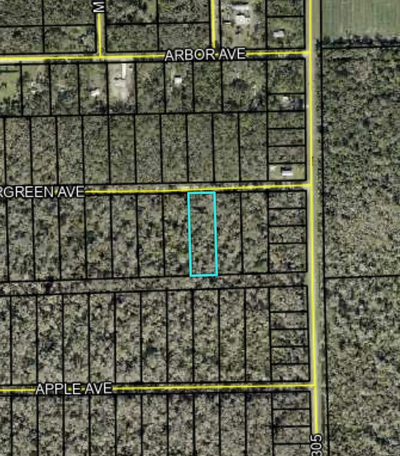 3599 Evergreen Avenue Bunnell FL 32110