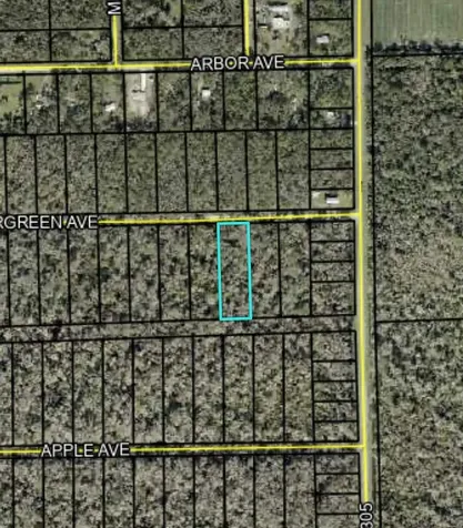 3599 Evergreen Avenue Bunnell FL 32110