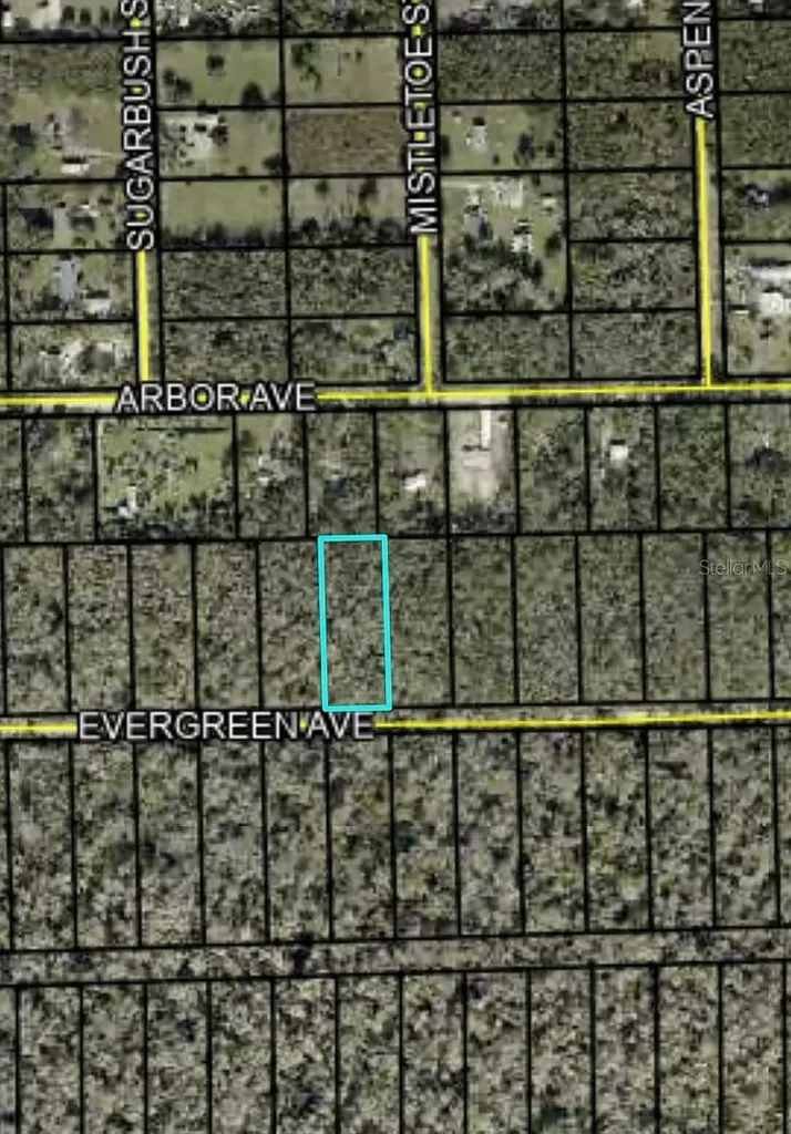 3740 Evergreen Avenue Bunnell FL 32110