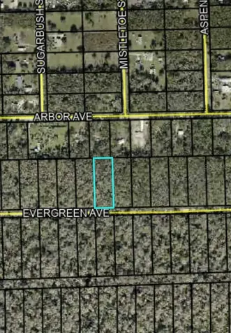 3740 Evergreen Avenue Bunnell FL 32110
