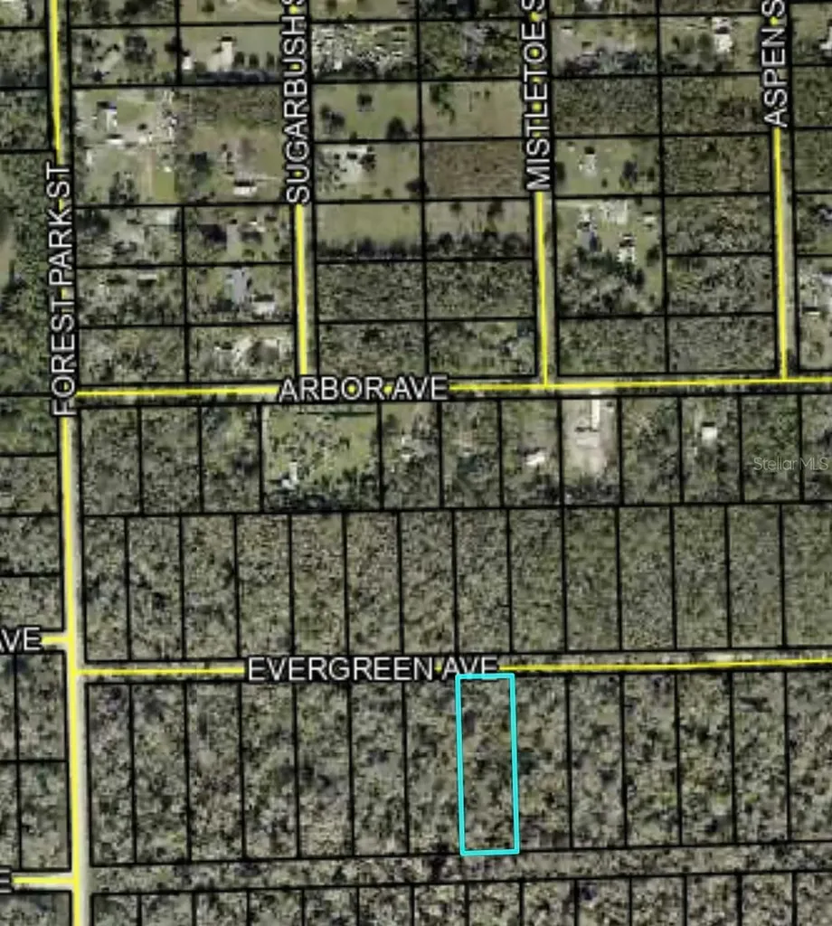 3741 Evergreen Avenue Bunnell FL 32110