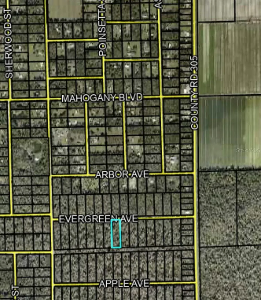3741 Evergreen Avenue Bunnell FL 32110
