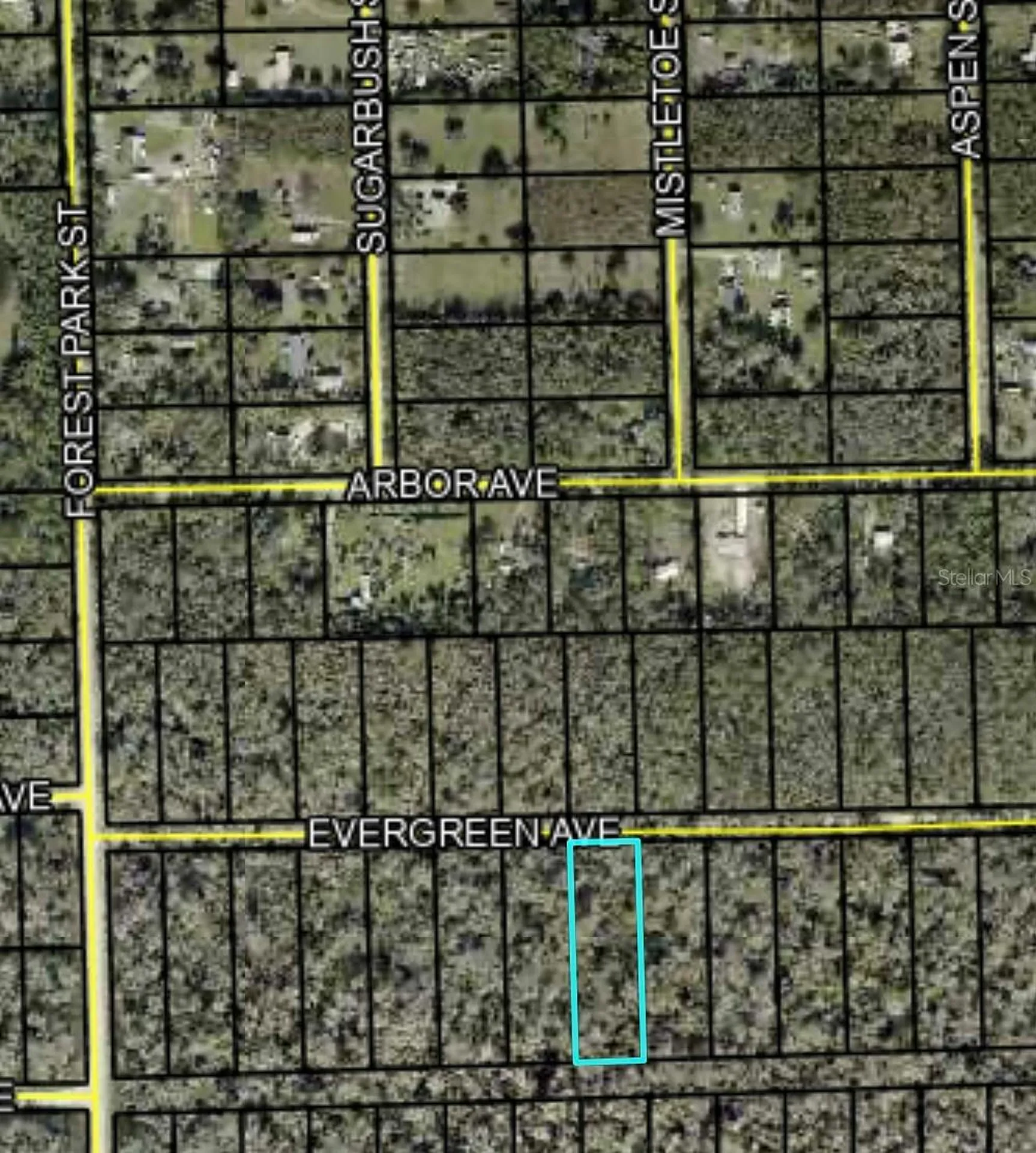 3741 Evergreen Avenue Bunnell FL 32110