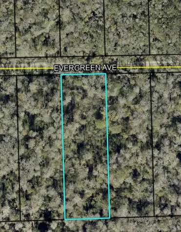 3741 Evergreen Avenue Bunnell FL 32110