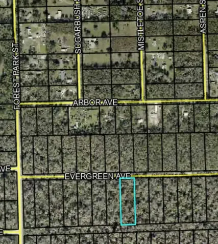 3741 Evergreen Avenue Bunnell FL 32110