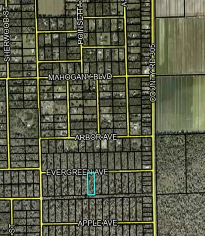 3741 Evergreen Avenue Bunnell FL 32110
