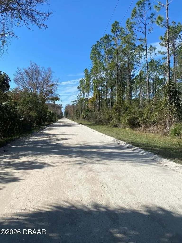 820 Old Bubbly Road Pierson FL 32180