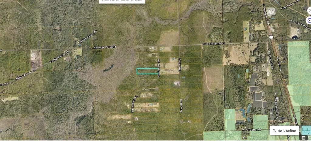 820 Old Bubbly Road Pierson FL 32180