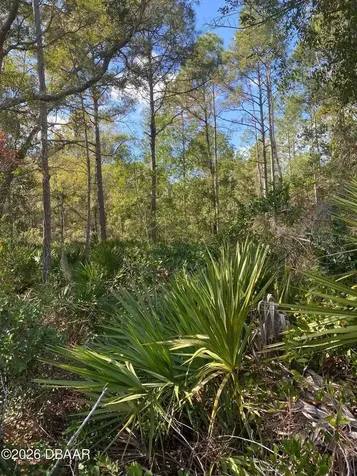 820 Old Bubbly Road Pierson FL 32180
