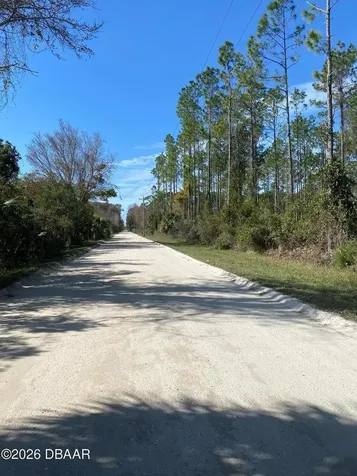 820 Old Bubbly Road Pierson FL 32180
