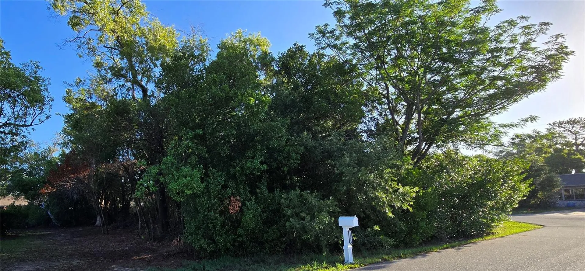 0 Captain Drive Spring Hill FL 34608