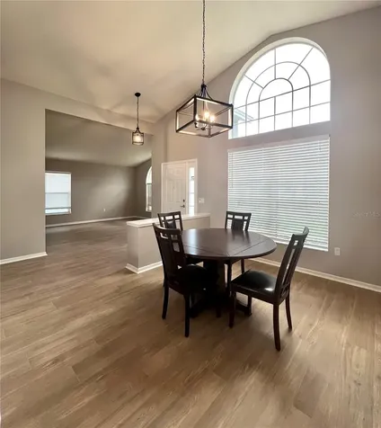18564 Kingbird Drive Lutz FL 33558