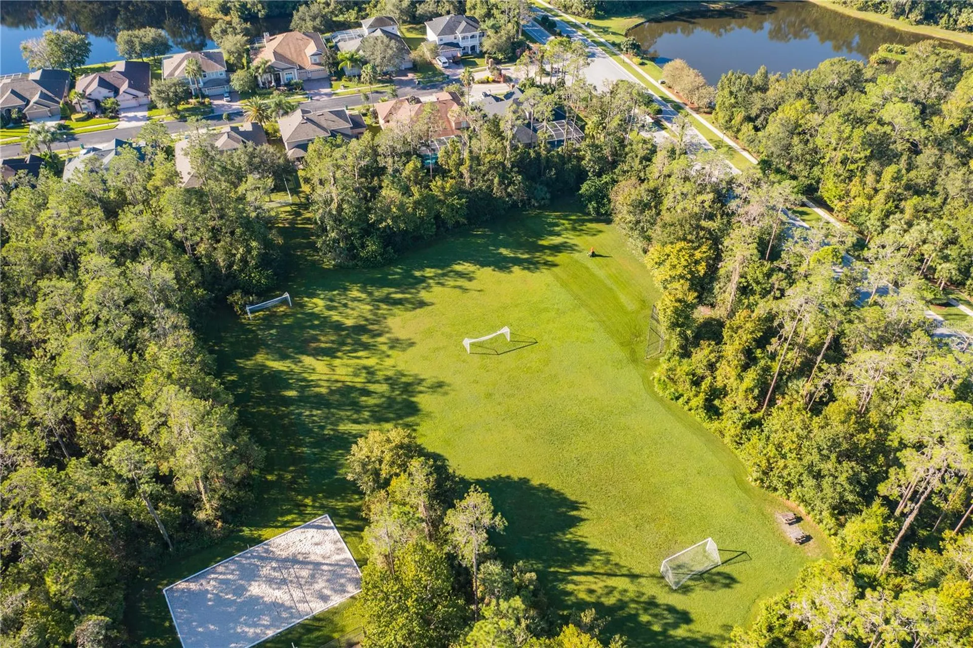 2409 Spring Hollow Loop Wesley Chapel FL 33544