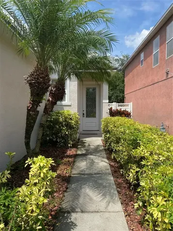2409 Spring Hollow Loop Wesley Chapel FL 33544