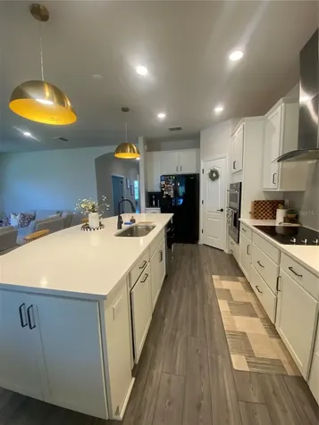 9610 Rally Spring Loop Wesley Chapel FL 33545