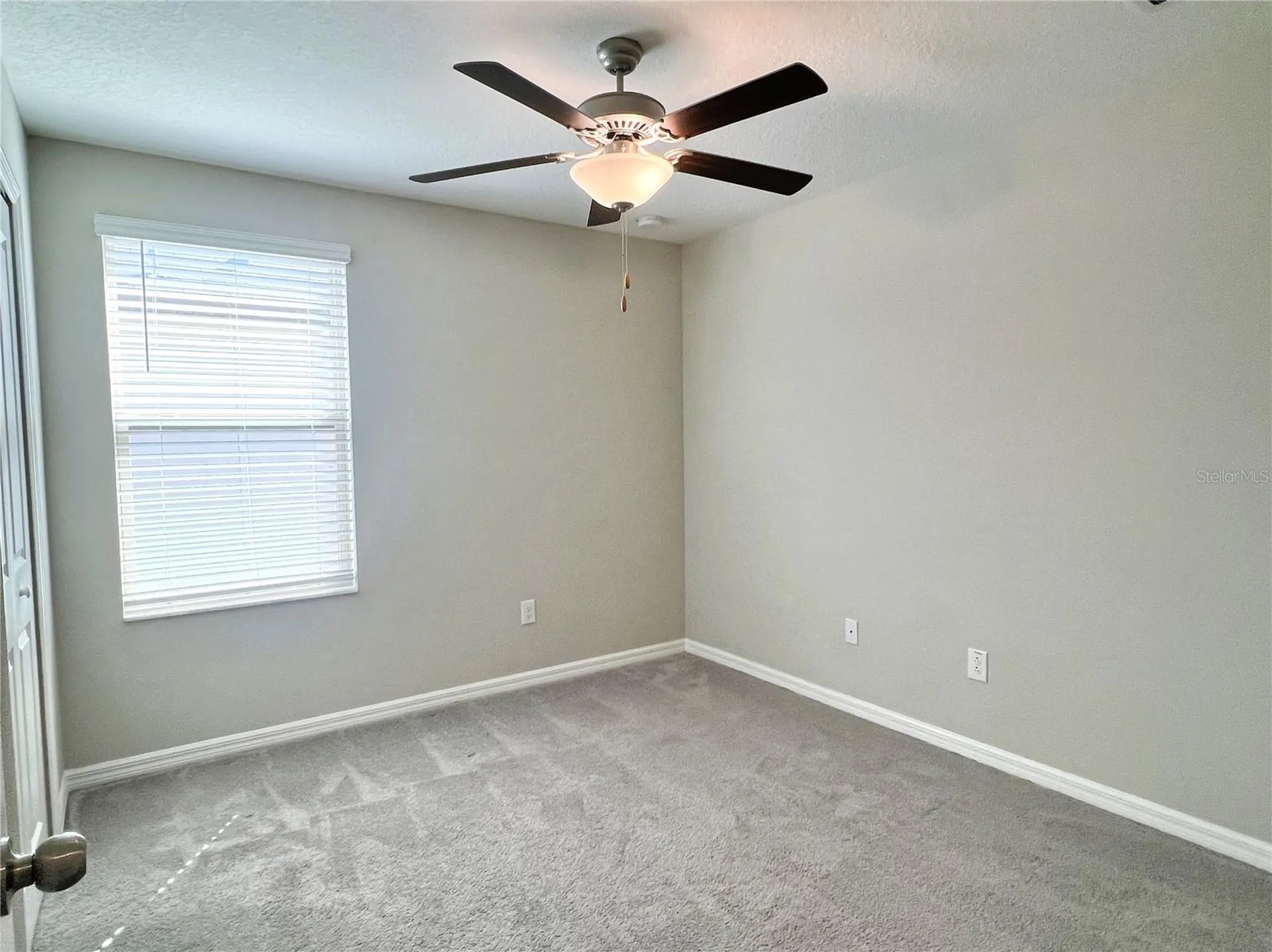 7018 Samuel Ivy Drive Tampa FL 33619