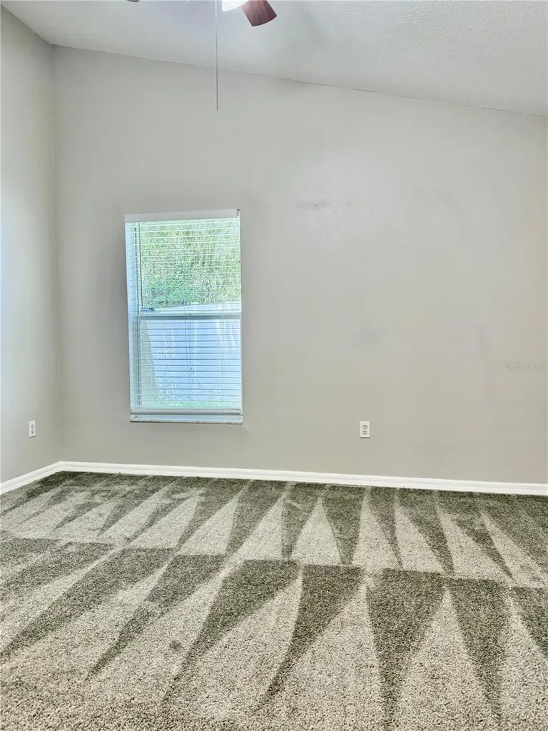 28510 Seashell Court Wesley Chapel FL 33545