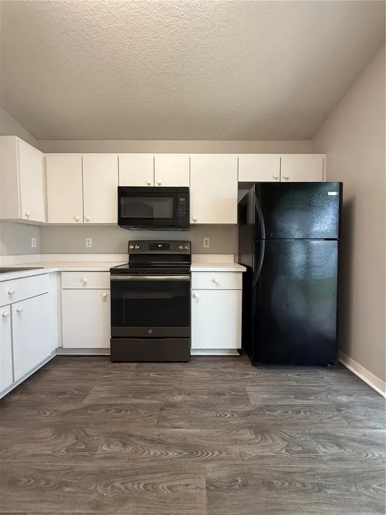 28510 Seashell Court Wesley Chapel FL 33545