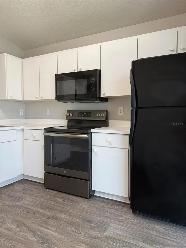 28510 Seashell Court Wesley Chapel FL 33545