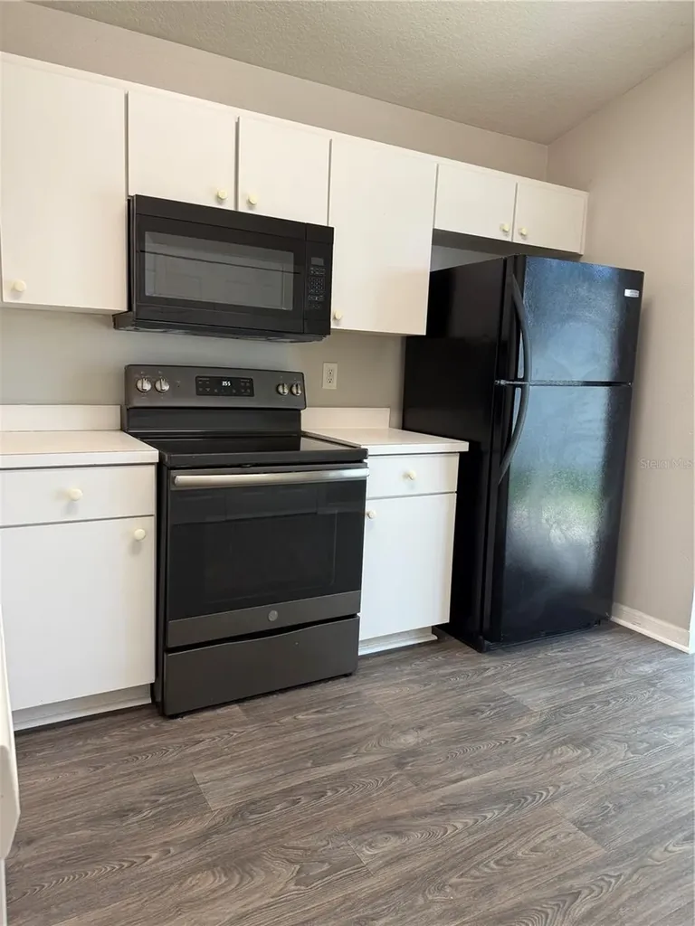 28510 Seashell Court Wesley Chapel FL 33545