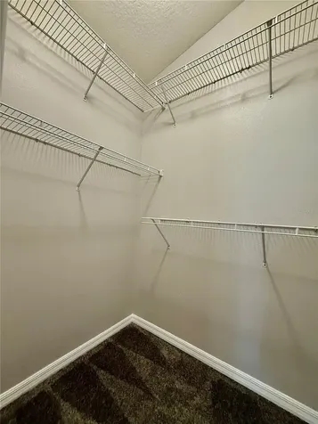 28510 Seashell Court Wesley Chapel FL 33545
