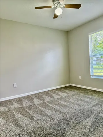 28510 Seashell Court Wesley Chapel FL 33545