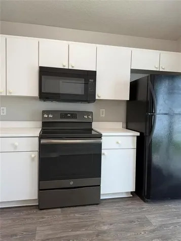 28510 Seashell Court Wesley Chapel FL 33545