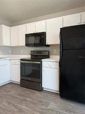 28510 Seashell Court Wesley Chapel FL 33545