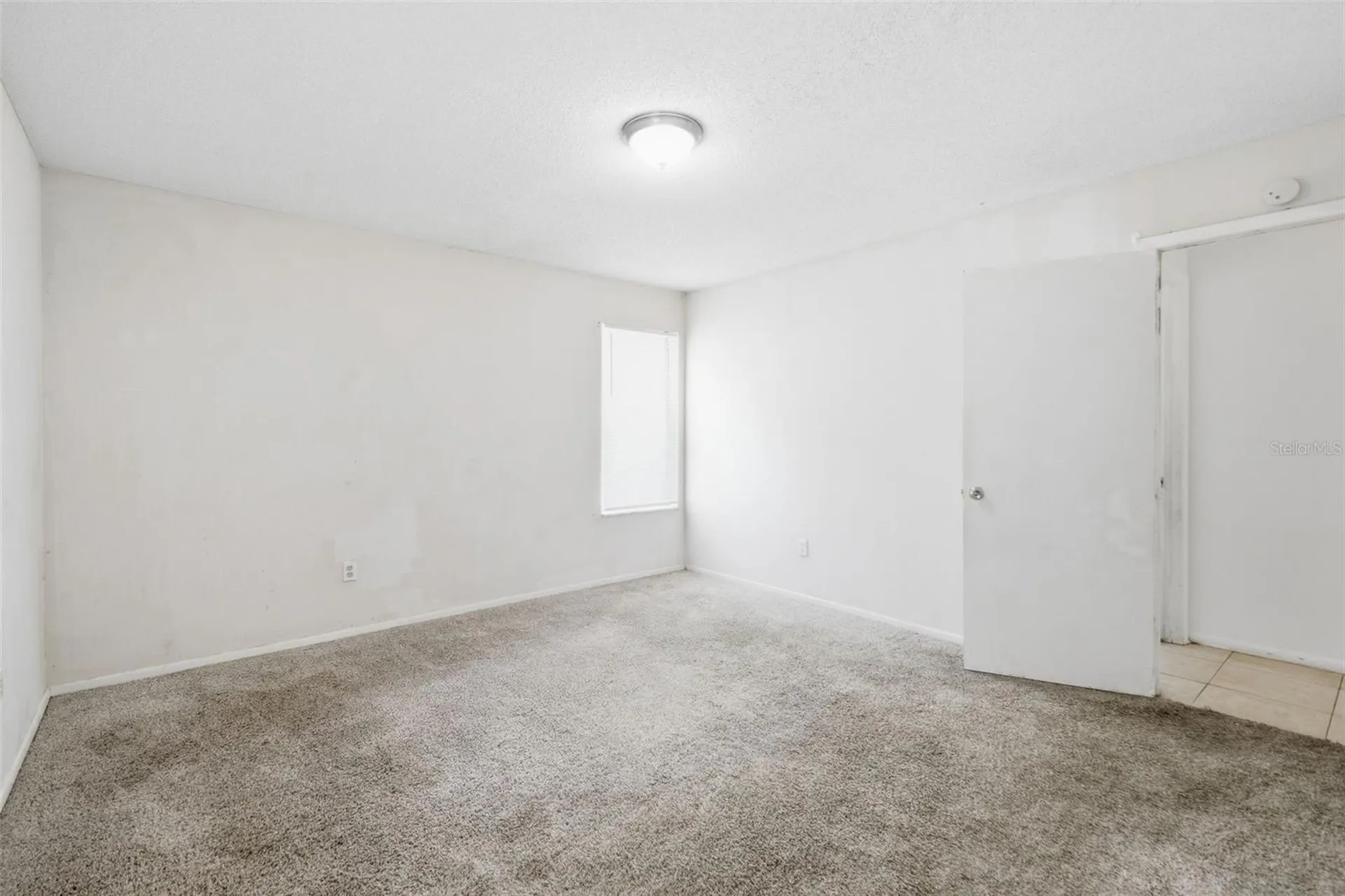 8412 Renald Boulevard Tampa FL 33637
