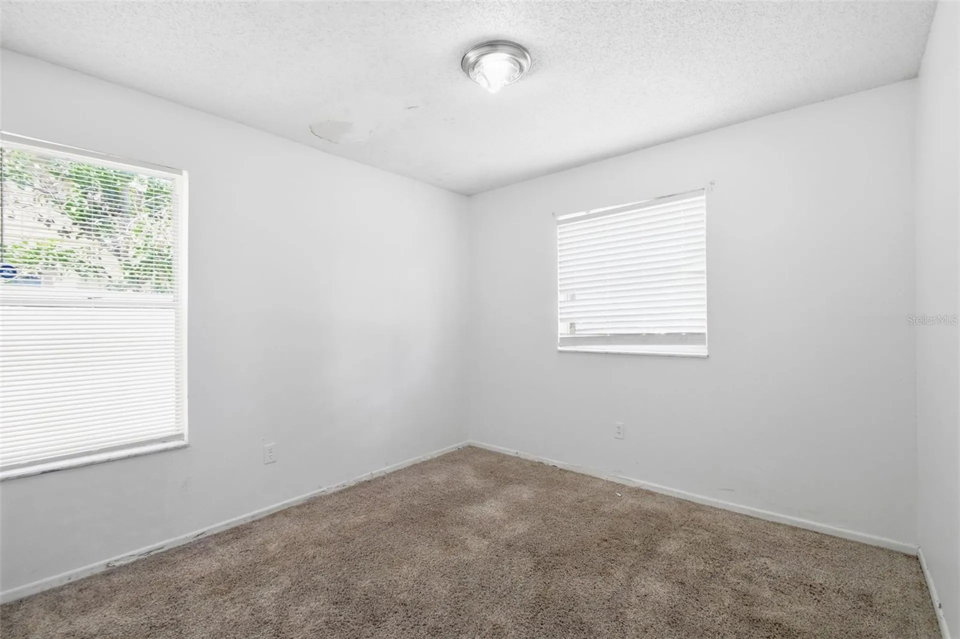 8412 Renald Boulevard Tampa FL 33637