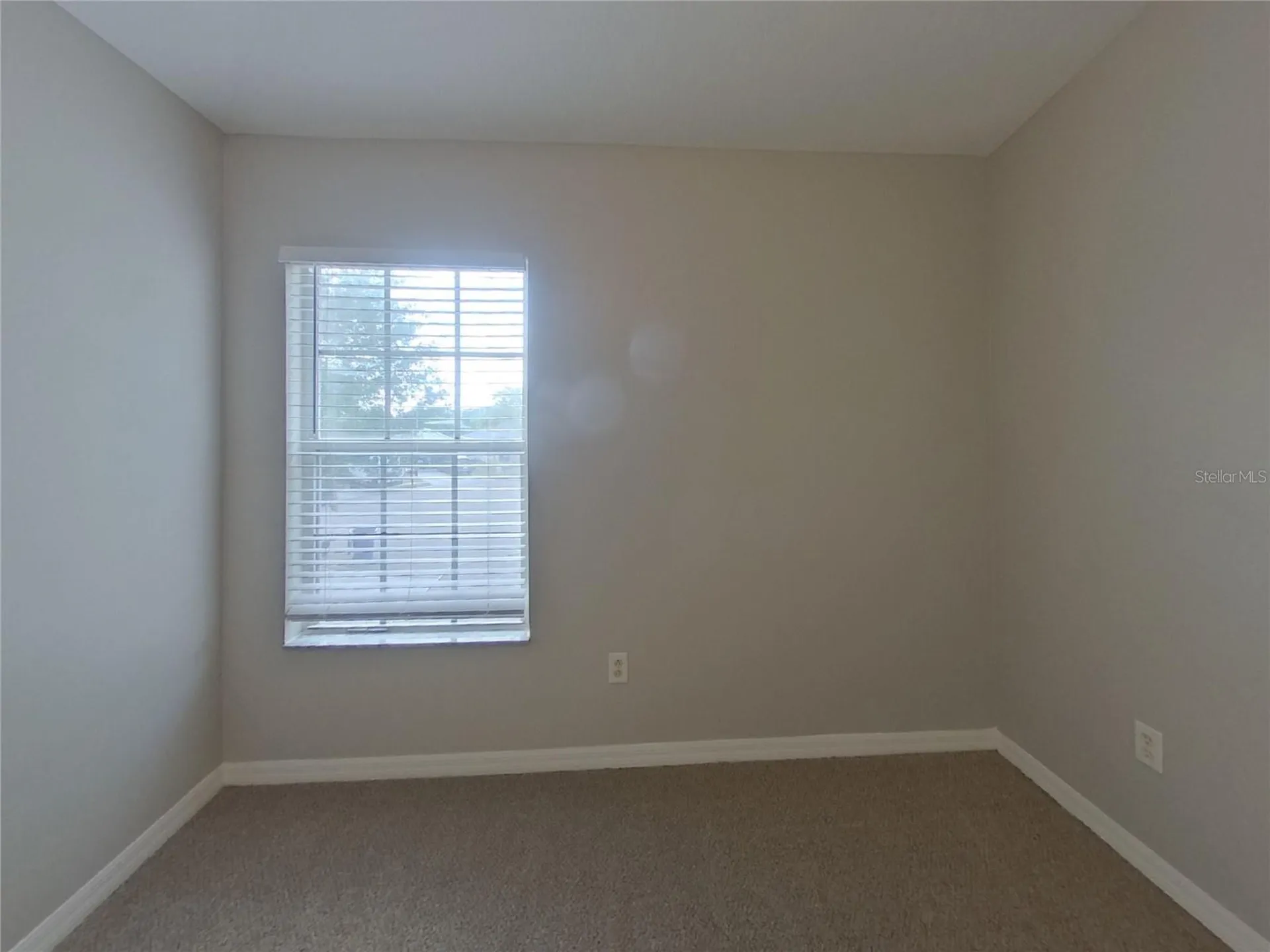 Land O Lakes FL 34638