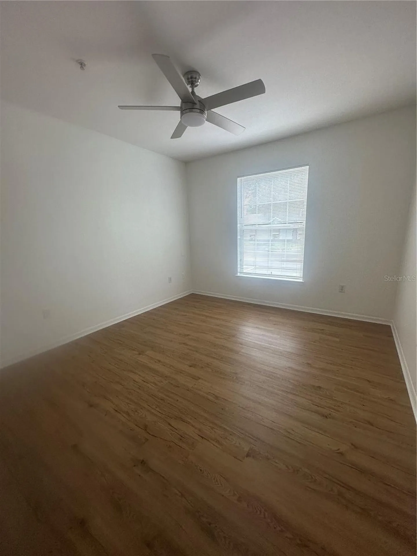 2407 Courtney Meadows Court Tampa FL 33619