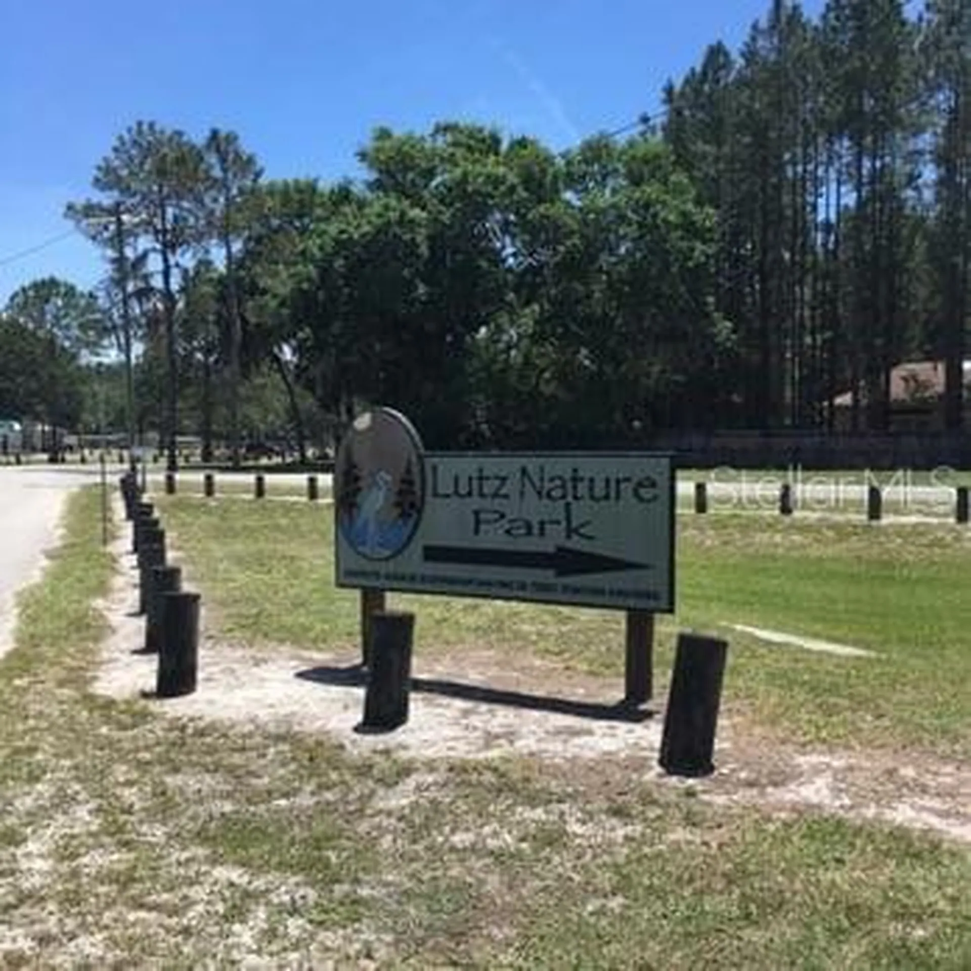 521 W Lutz Lake Fern Road Lutz FL 33548