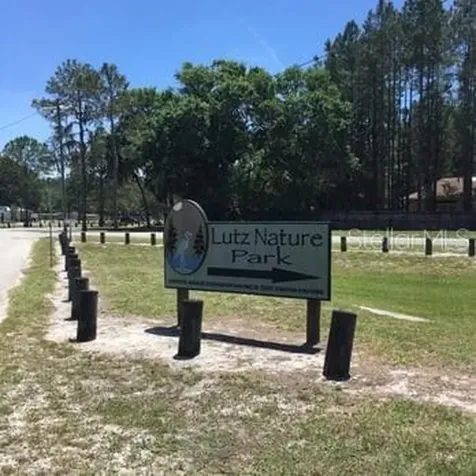 521 W Lutz Lake Fern Road Lutz FL 33548