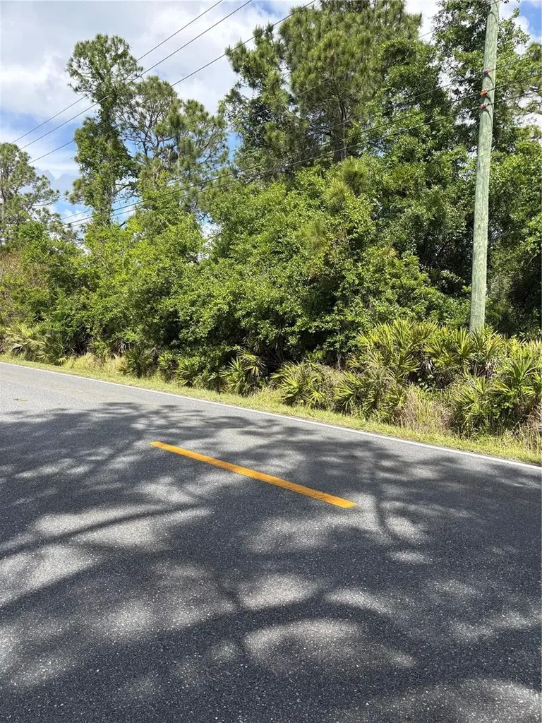 E Osceola Road Geneva FL 32732